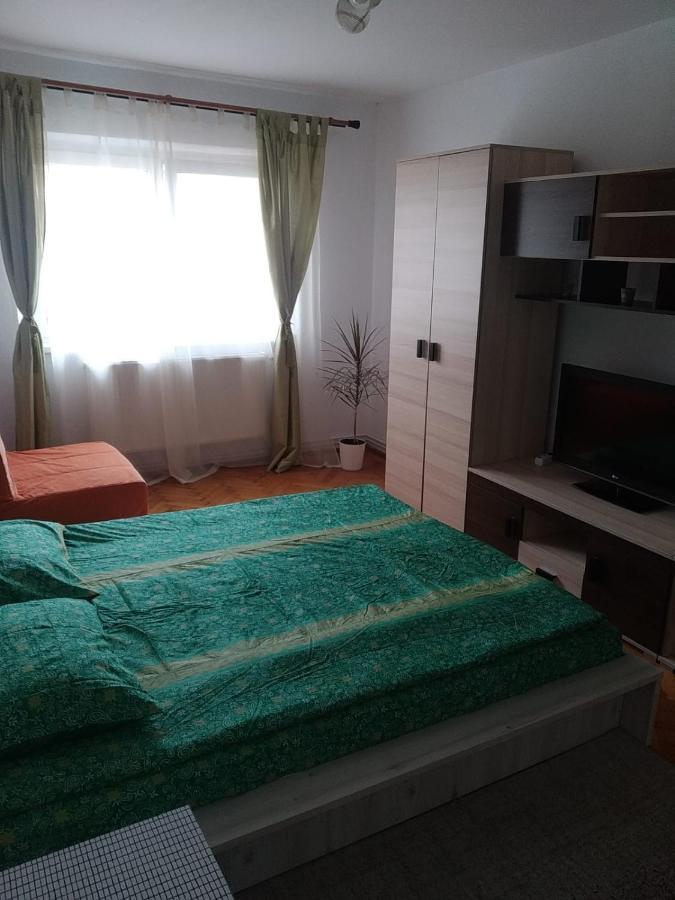 Apartament Erik Apartment ซีบิว ภายนอก รูปภาพ